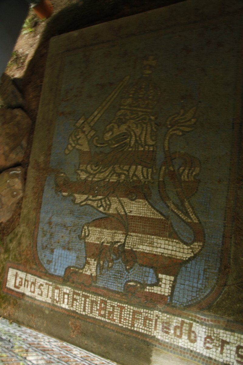 Annelies Visser tweet media