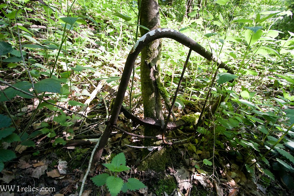 Annelies Visser tweet media