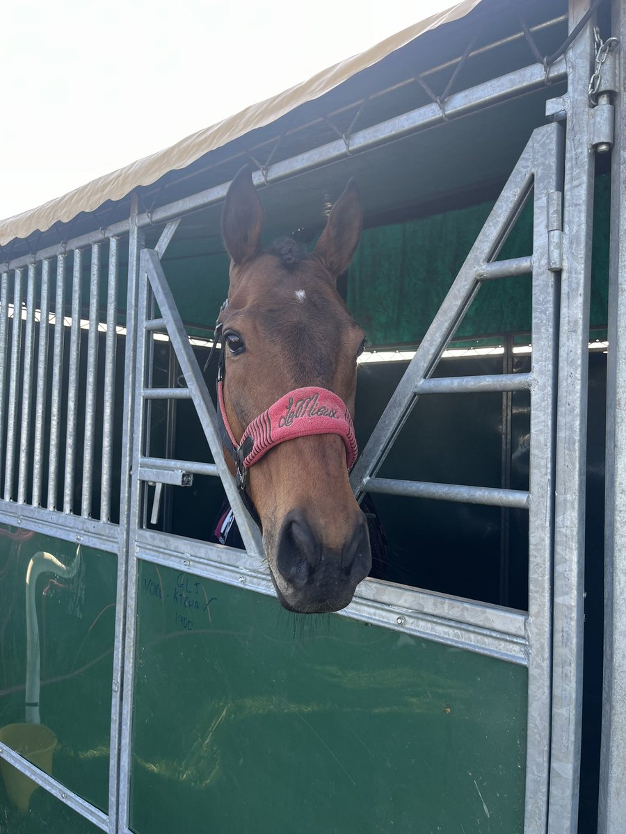 chesterraces tweet media