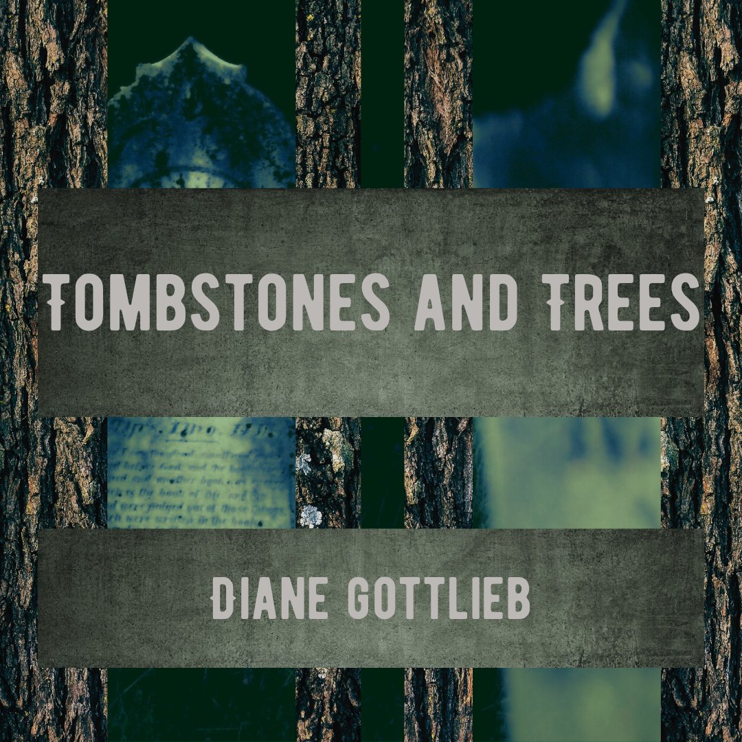 The light is on for Diane Gottlieb! @DianeGotAuthor Today's piece is a thoughtful CNF that takes a detailed, informative and personal dive into Jewish funerary and cultural practices. Check it out: bulbculturecollective.com/read/tombstone…