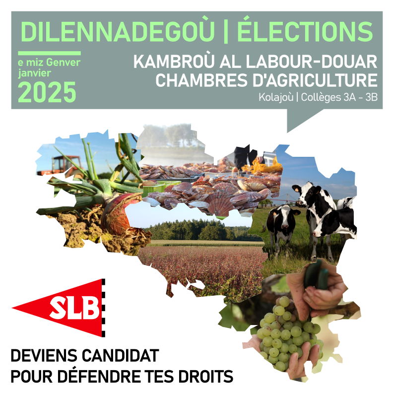 sindikadSLB's tweet photo. Élections aux chambres d'agriculture 2025 :
Pour la 1ère fois, SLB sera candidat ! 🚩
---
APPEL À CANDIDATURES
Pour compléter nos listes dans les 5 départements bretons, et pour élaborer un vrai programme de revendications pour les salariés de l'agriculture en Bretagne : https://t.co/R9zfzZJuvn