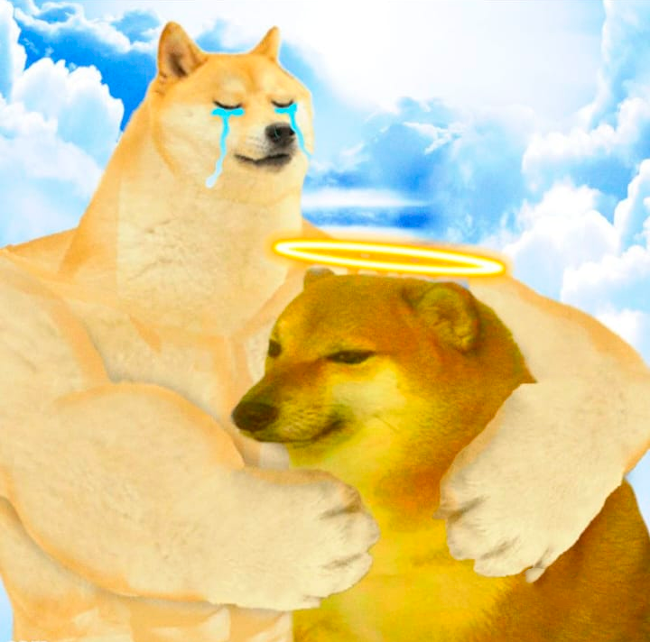 AHORA DOGE ESTÁ ACOMPAÑANDO A CHEEMS :c QEPD KABOSU 😭😭😭😭