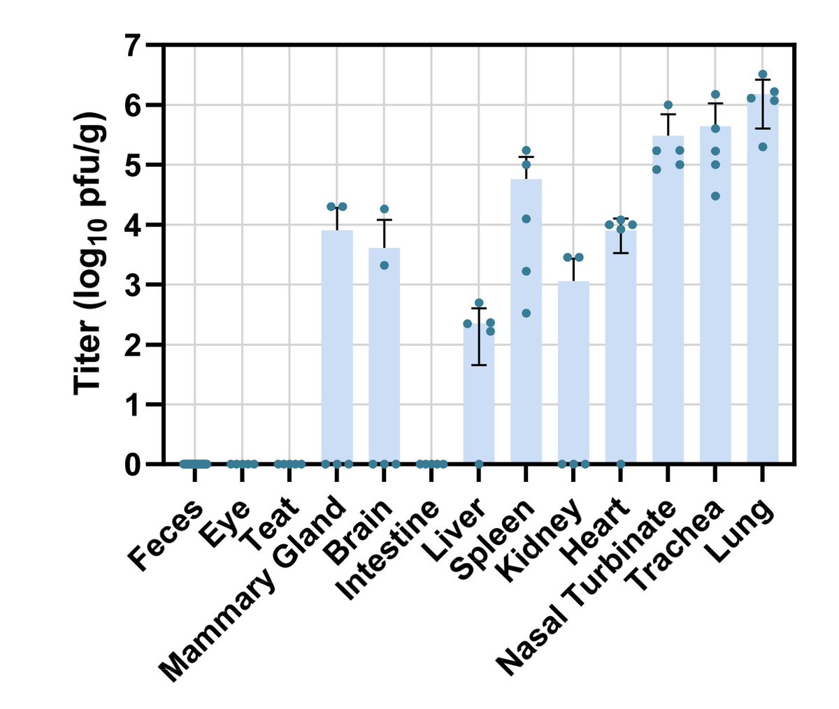 Quantitation of organ penetration after oral ingestion of #H5N1