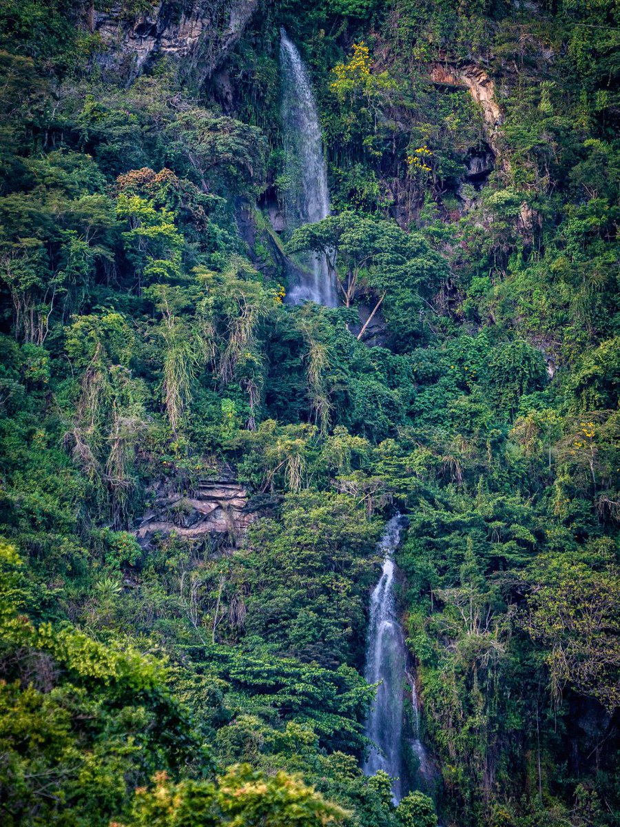 Avila National Park, Venezuela🇻🇪