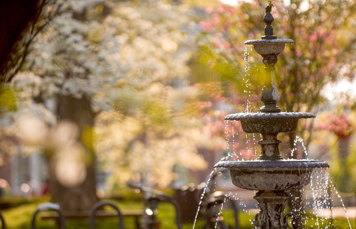 OHIOStudentLife's tweet image. Congratulations to all the Bobcats recognized on the spring 2024 academic achievement lists! 📚😸

View the lists: ohio.edu/news/media/stu…

#ForeverOHIO | #OhioUniversity