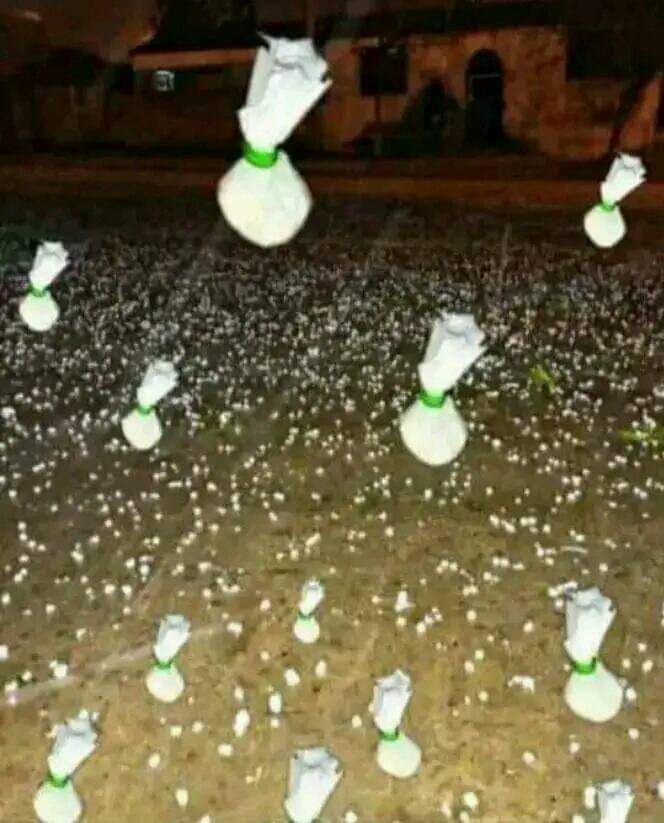 zampatorta's tweet image. URGENTE:
Ya está nevando en Rosario!