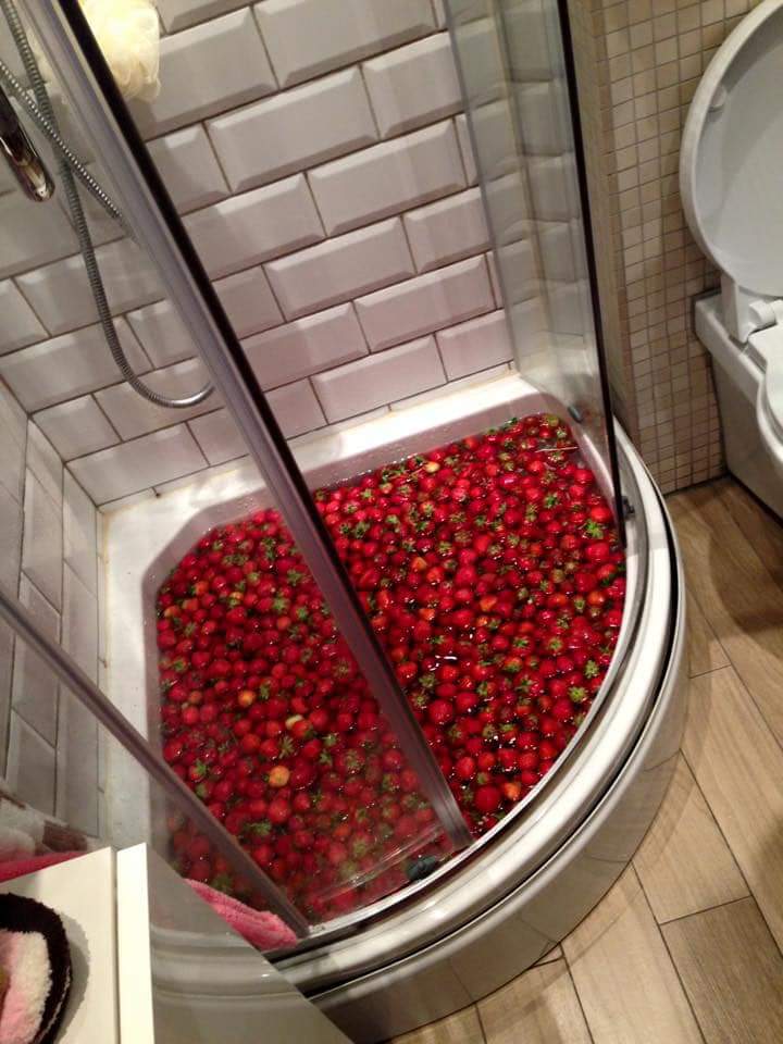 24hopeubounce's tweet photo. polska, gdy sezon na truskawki: https://t.co/qmi9D0itdj