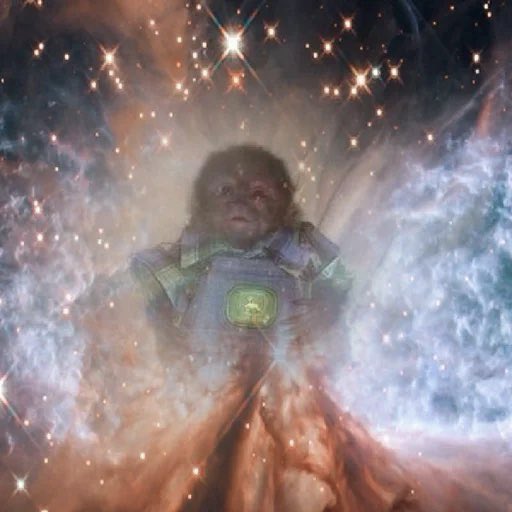 It’s a small monkey in a John Deere