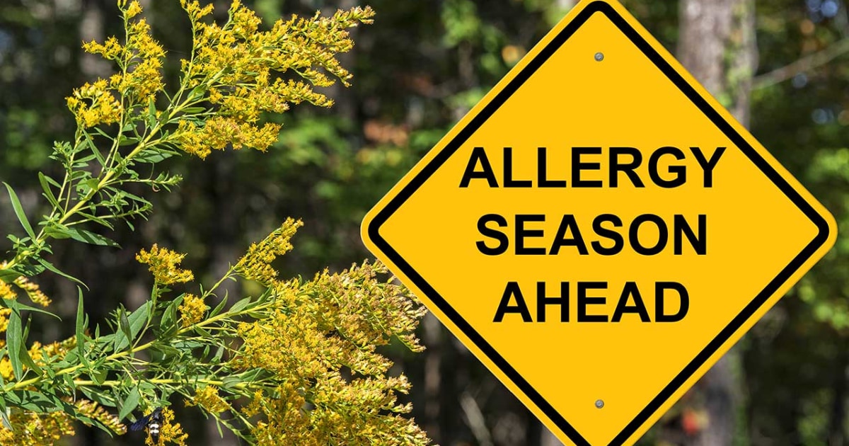 TheLearyGroup's tweet image. If you’re a seasonal allergy sufferer, or you’ve just become one, there are several remedies to help you get through the sneezy season. Let’s start with what you can do at home.

learycpa.com/resources/blog…