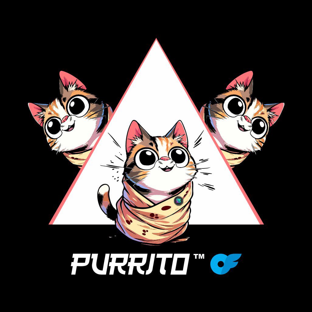 @Trader_AMR @wallstreetbets @Purrito_Wrapped Maaan this @Purrito_Wrapped is everywhere I love it. Let‘s #GetWrapped