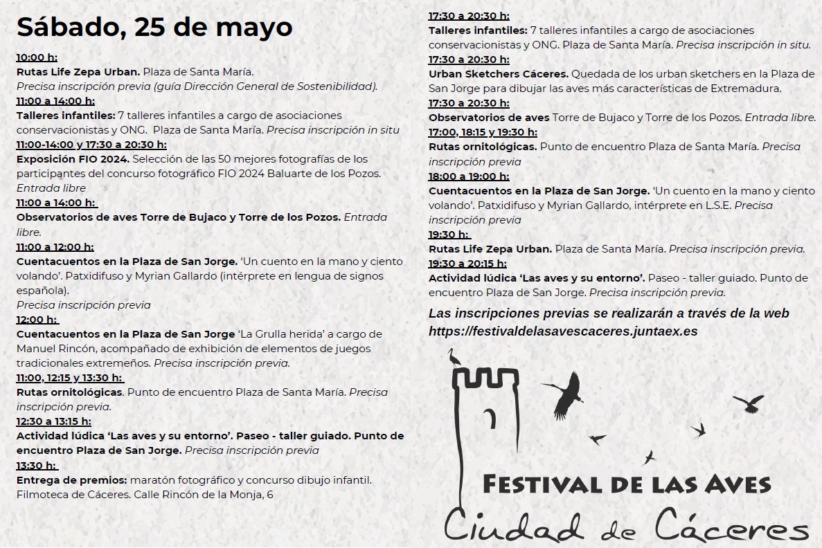🐦 Programación de hoy sábado para el #FestivalDeLasAves Ciudad de #Cáceres. ¡Ven a pasar un rato divertido y a ver aves por la ciudad! @cultura_EXT
