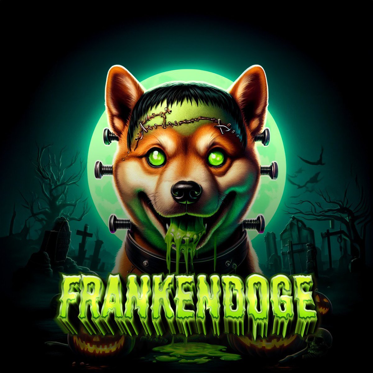 FrankenDoge's tweet photo. Kabosu died today, but he came back from the deads and will soon dominate the Solana blockchain. https://t.co/RvxDkonCHJ