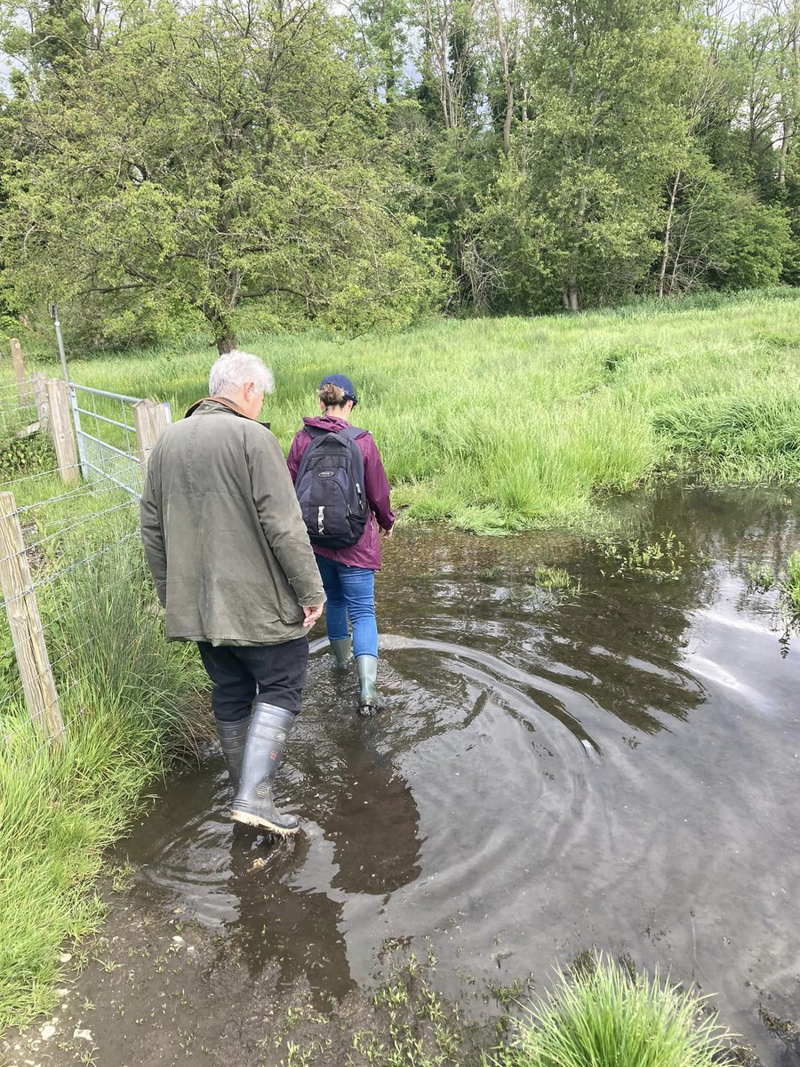 Exploring options for the still-water-logged #abbeyline trail today.

In Sopwell #StAlbans
#communityrail