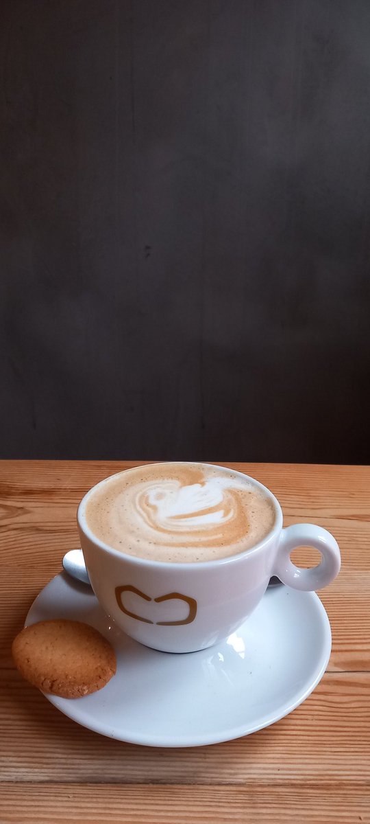 GodelieveTT's tweet image. Ben veel thuis geweest i.v.m. mijn knieblessure. Dat bevalt prima. Vandaag - ook door de regen - behoefte aan Horeca. #Tekoop #Tilburg ffe een break.