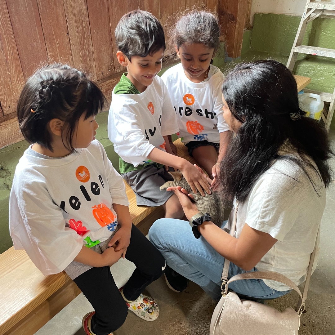 OakGrovePride's tweet photo. ๐Our kindergarteners had a blast on their recent field trip to the farm! It was a day filled with delightful experiences, from petting farm animals to playing in the great outdoors. The joy of seeing a working farm brought plenty of smiles & excitement. ๐พ
#OakGrovePride #OGD68 https://t.co/x7QWbt8tNO