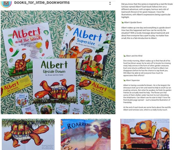 BEAUTIFUL, LOVELY, FAB. Super #Praise from #bookblogger #Books for Little #Bookworms for #ALBERTthetortoise #picturebooks ALBERT UPSIDE DOWN, ALBERT AND THE WIND & ALBERT SUPERSIZE. #AvailableNow with more ALBERT picturebooks, #BoardBook and #ActivityBook Alberttortoise.com