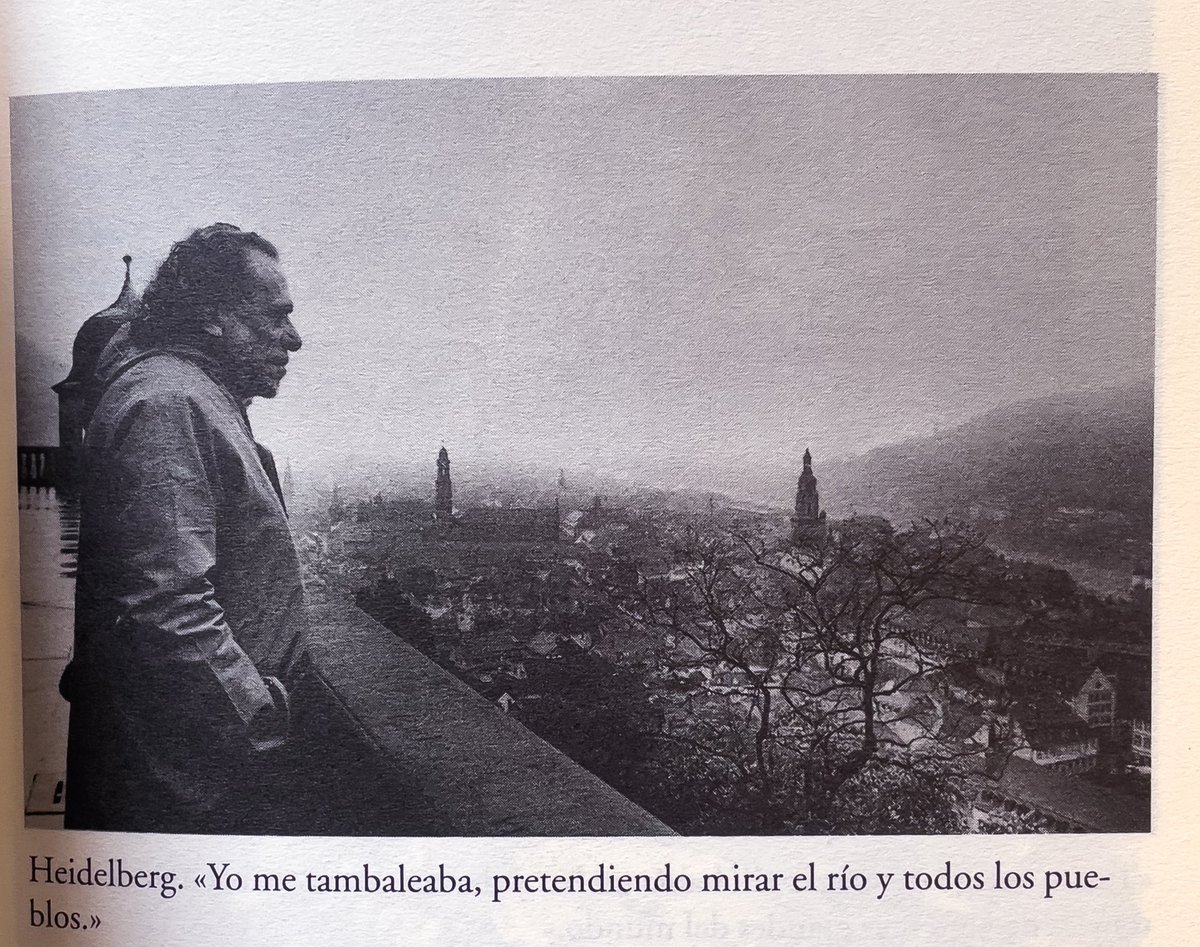 “La verdad es que la vida es insoportable, lo que pasa es que a la mayoría de la gente le han enseñado a fingir que no lo es”. 

Charles Bukowski
