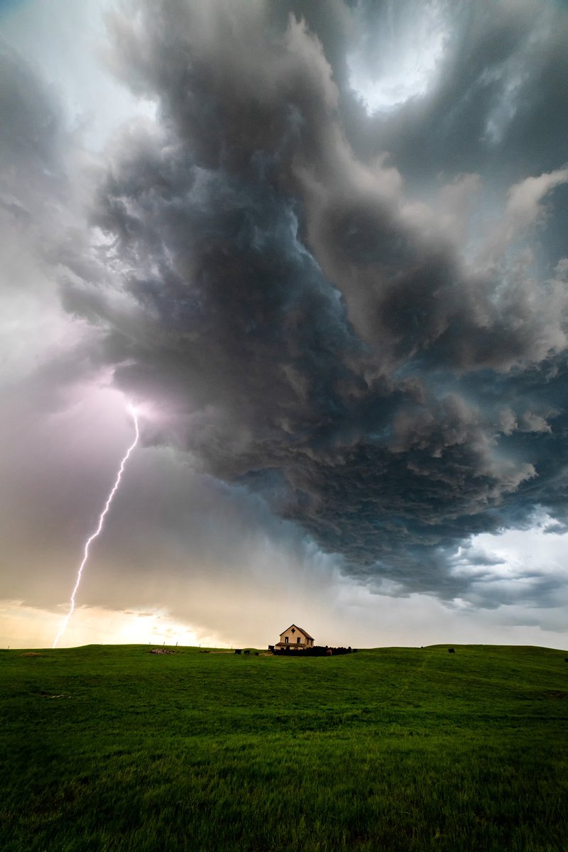 If this passion dies, then so do I.