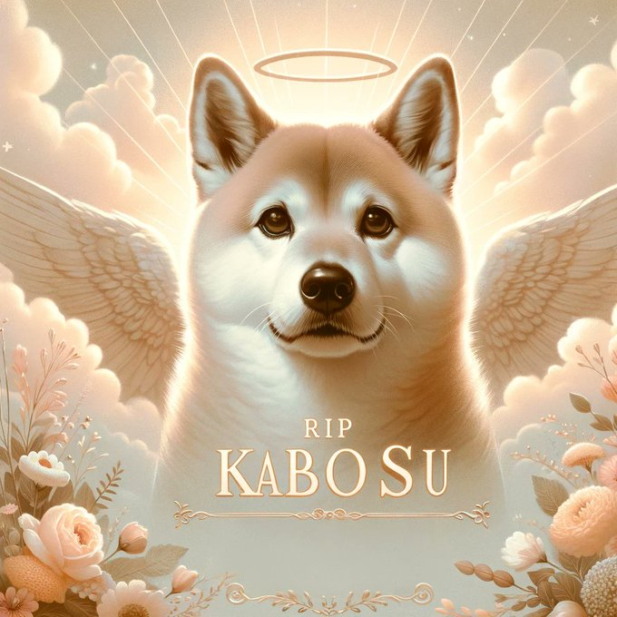 dogecorin's tweet photo. @dogecoin In honor of Kabosu her death we have decided to drop the limited NFT collection we had planned to release for a long time.

Instead of making the mint paid we have decided to drop all 5000 for free. (Only pay gas costs)

> https://t.co/Izq9a2f2hR https://t.co/8QXNdLz1rS