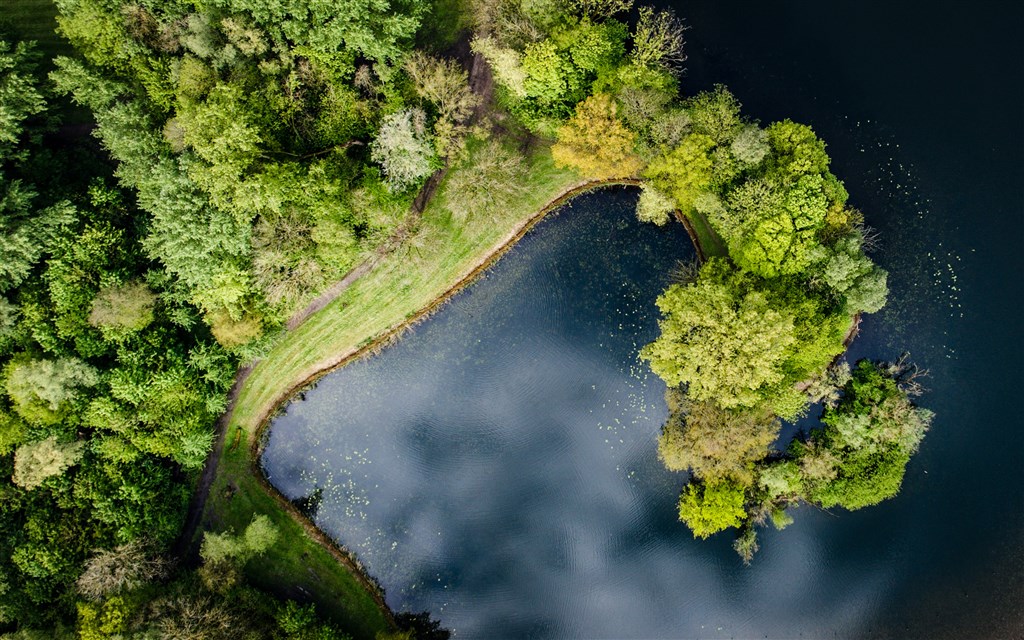 RTL Nieuws tweet media