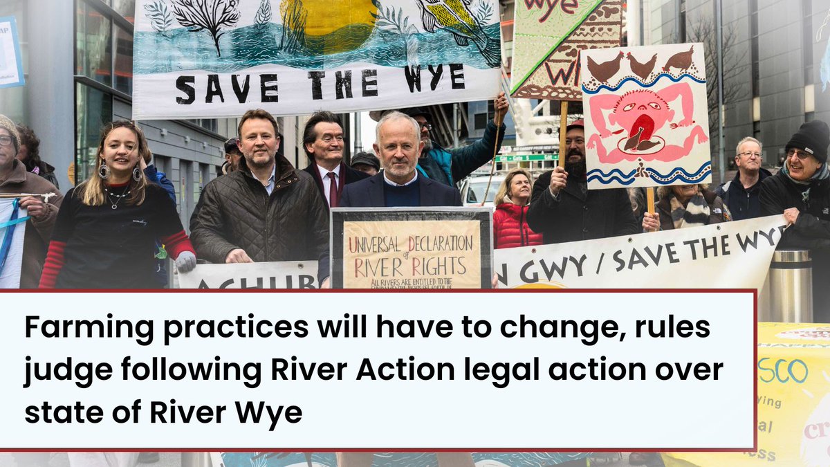 📢 ANNOUNCEMENT: ⬇️ A judge has ruled that farming practices will have to change in response to a legal challenge by @RiverActionUK over the @EnvAgency's alleged failure to enforce regulations to protect the River Wye from pollution. 1/3 🧵 👉 bit.ly/RiverWyeLegalA…