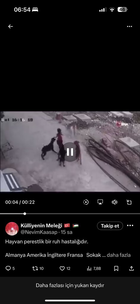 fikretsima's tweet photo. @aykiricomtr Nevşin abla hepsini al evine götür biz yaşadığımız yerde istemiyoruz . https://t.co/bkeATybJRP