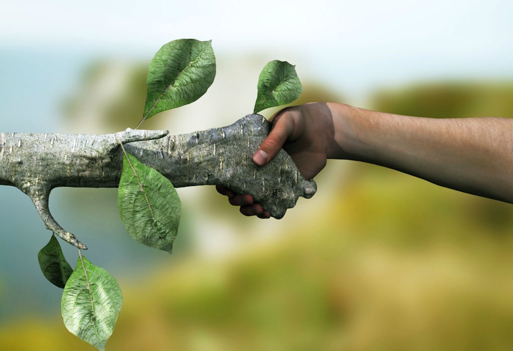 Interesante curso sobre Ética ecológica. Se llevará a cabo en Calanda. Te esperamos!!!! fantoniogargallo.unizar.es/curso/2024/eti…