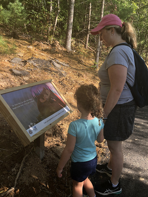 Reading outside is natural! 😉 Along Byrd Creek Trail at Cumberland Mountain State Park, "Night Night Forest Friends" by Annie Bach is featured.

Part of the Storybook Trails partnership, 51 trails in 24 parks peppered across TN invite you to explore: governorsfoundation.org/programs/story…