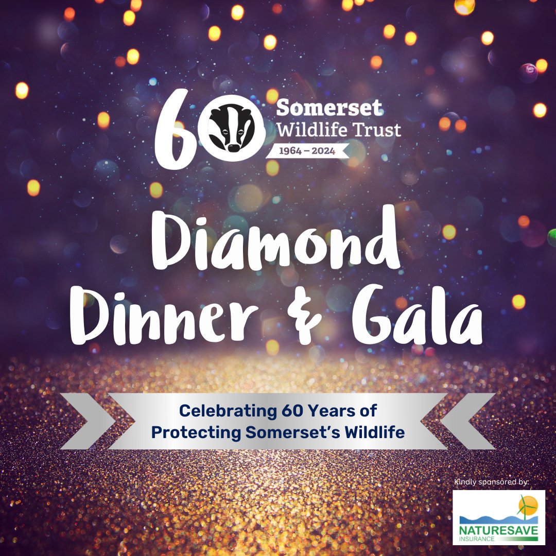 Join us for an unforgettable evening at our Diamond Dinner & Gala! ✨ We'll be celebrating 60 years of protecting Somerset's wildlife with fine food and live music! Don't miss out on our Early Bird Ticket Offer! 👇 eventbrite.co.uk/e/somerset-wil… #60YearsOfSWT #Somerset