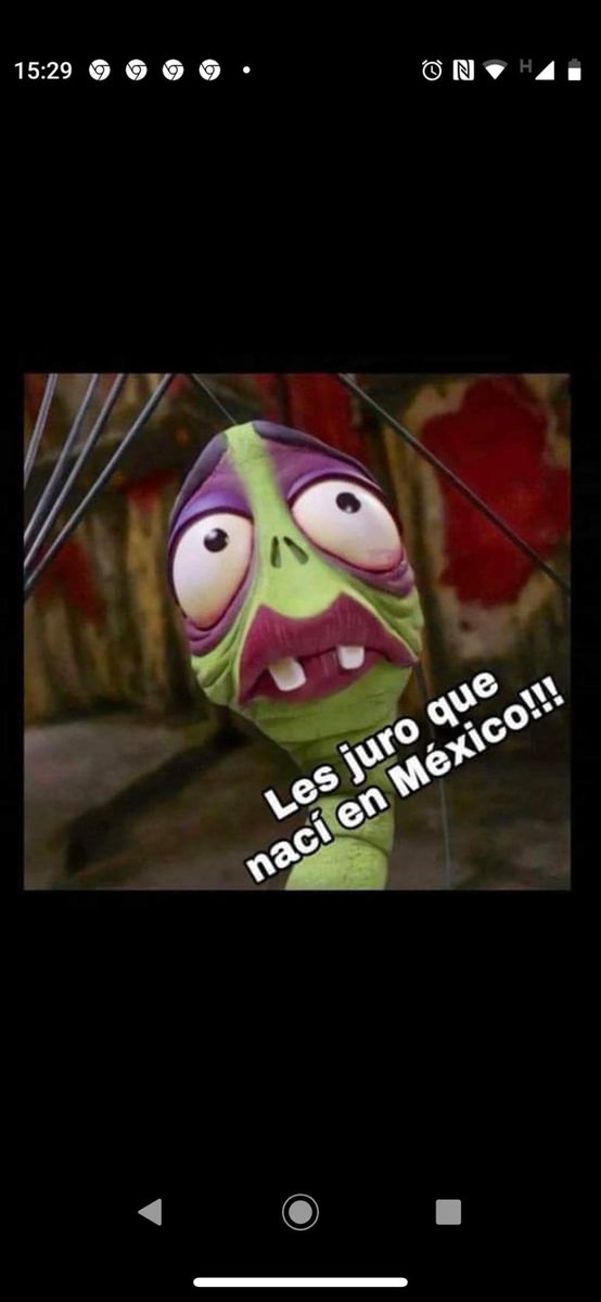 🤣🤣🤣🤣🤣🤣