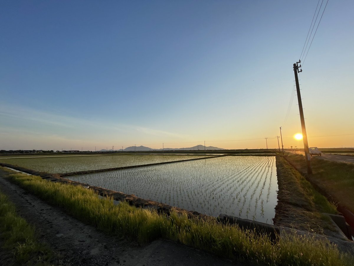 新潟では田植えも終わり、水田が夕陽に映える季節です✨