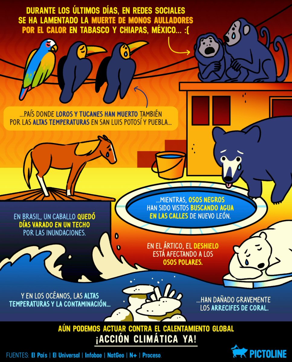 Defensoría Animal MX (@defanimalmx) on Twitter photo #AcciónClimaticaYa #AcciónClimaticaYa
