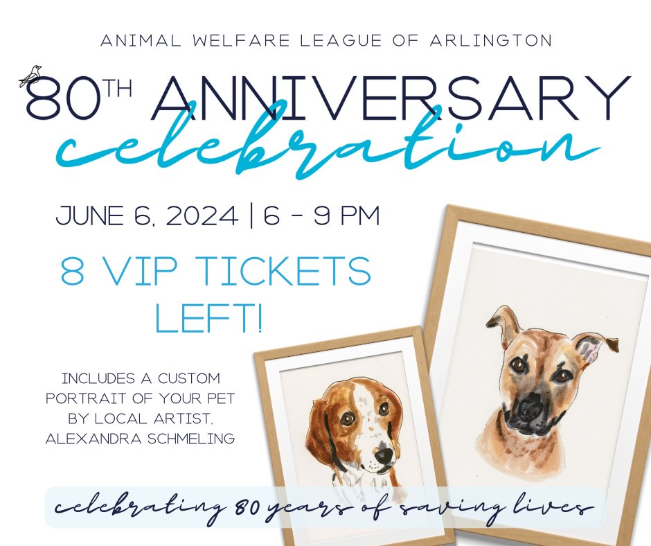AWLA's 80th Anniversary Celebration is just 2 weeks away and there are only 8 VIP tickets left for purchase! Your VIP ticket includes a custom portrait of your pet by local artist, Alexandra Schmeling. Get your VIP (or regular) ticket here: awla.org/event/awlas-80…