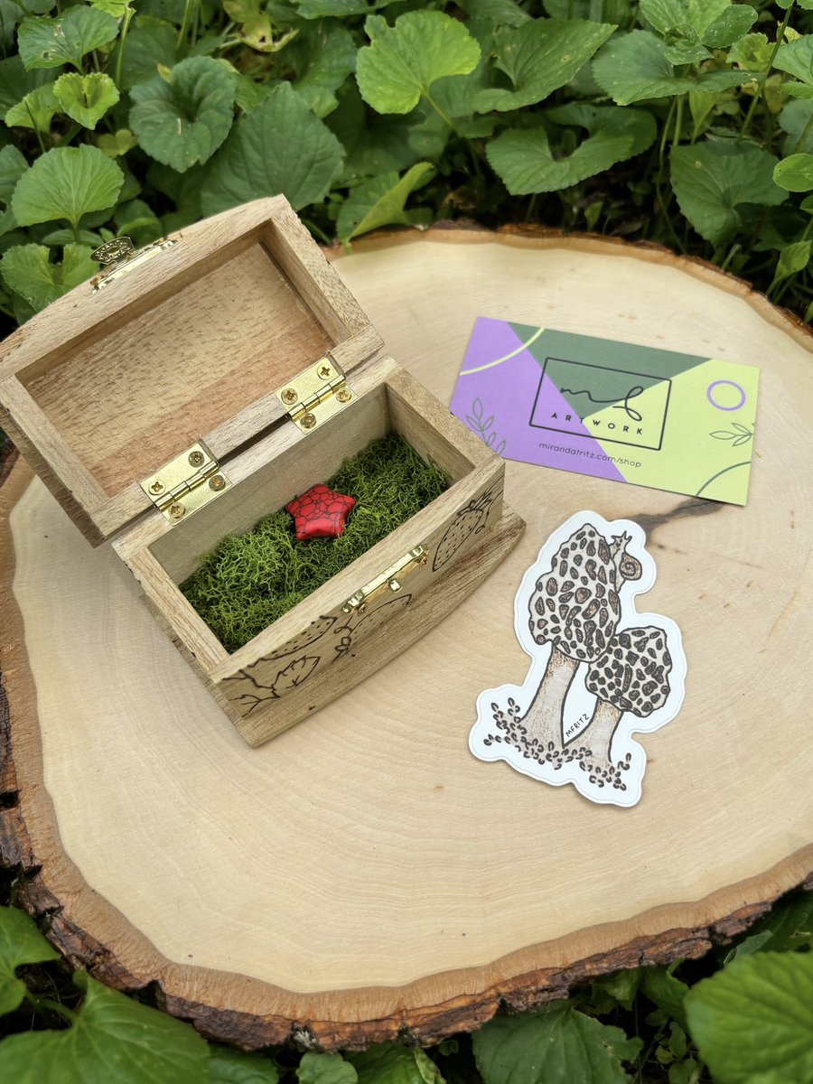 mfritz_art's tweet photo. 🍓GIVEAWAY🍄‍🟫

Winner gets this strawberry garden wood burned trinket box with a moss bed inside + a morel mushroom sticker and a red turquoise star🌱🐌

How to enter:
⭐️Must follow me
🫶🏼Like this post 
🌿Repost this post 

Winner will be chosen at 525 followers🌸 https://t.co/LGhRYJYSEY