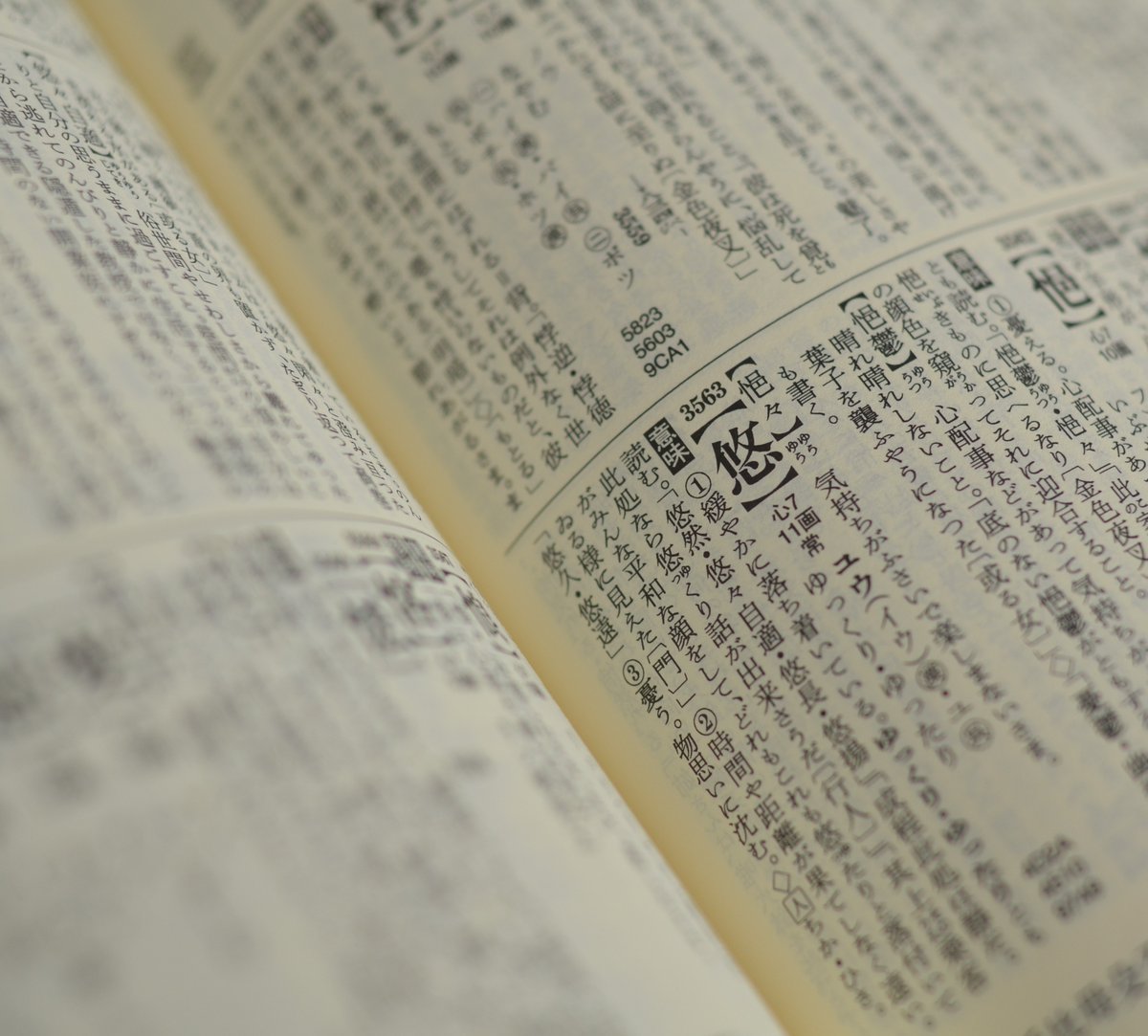 『新潮日本語漢字辞典』（2007年）

漢和辞典は漢文を和訳するための辞典であり、本質的には外国語辞書の範疇にある。
日常的に漢字の意味と使われ方・熟語などを調べたいときに、微妙にピントがずれて使いにくいのはこれが理由。
これを解消してくれるのが本辞書。
ずっと欲しくてようやく購入！