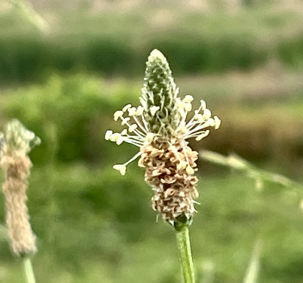 ccx16960 tweet media