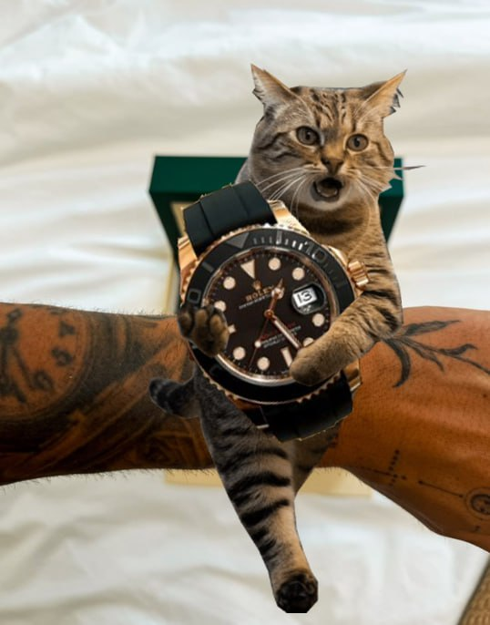 levigem's tweet photo. @dj_budsol add $nami on there or we take your watch https://t.co/CLYBYR9JK9