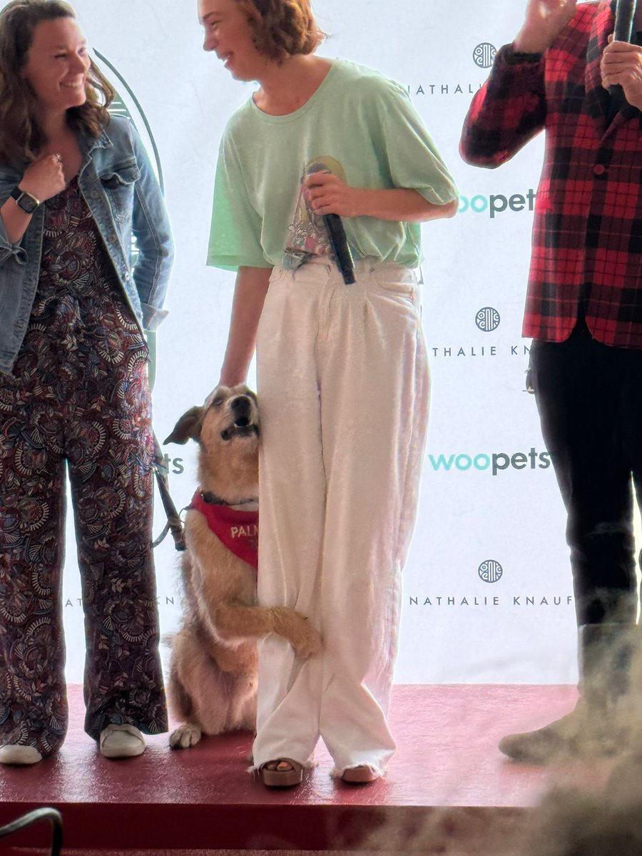 Matthew Turner tweet media