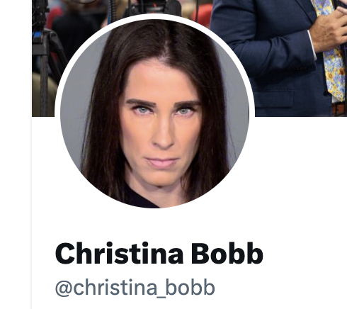 The Republican National Committee's 'senior counsel for election integrity' has updated her profile pic to feature her mug shot... She was recently arraigned in Arizona for her role in a plot to overturn the state's election results.