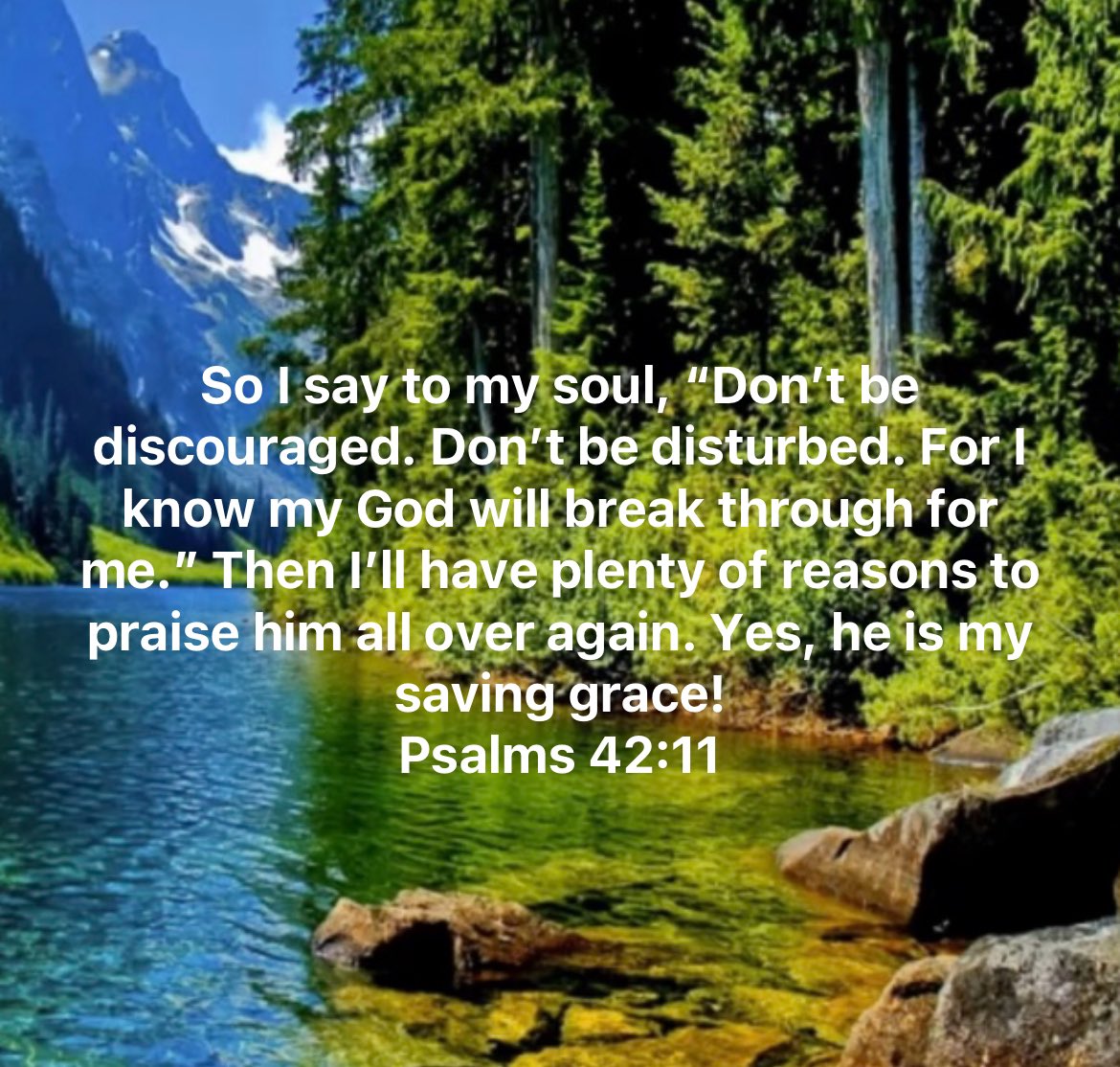 “Why are you cast down, O my inner self? And why should you moan over me and be disquieted within me? Hope in God and wait expectantly for Him, for I shall yet praise Him, Who is the help of my countenance, and my God.”
Psalm 42:11 🤍🩵💜❤️🌊🕊️