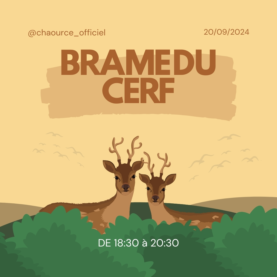 Chaource 💙🤍❤️ tweet media