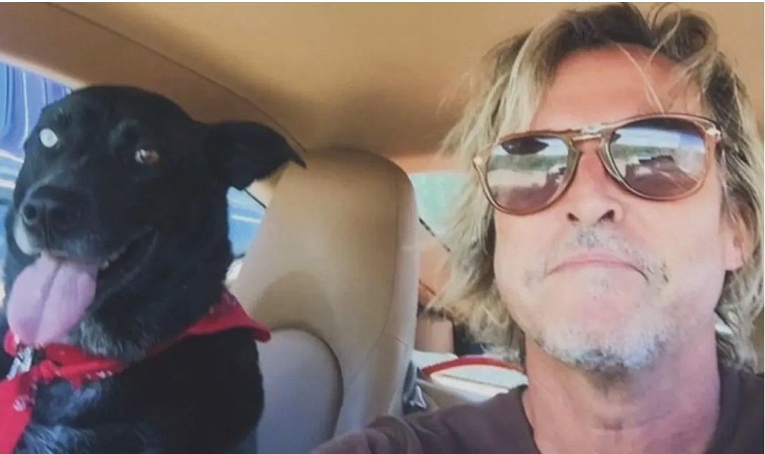 ZERO GRAMZ OF FAT tweet media