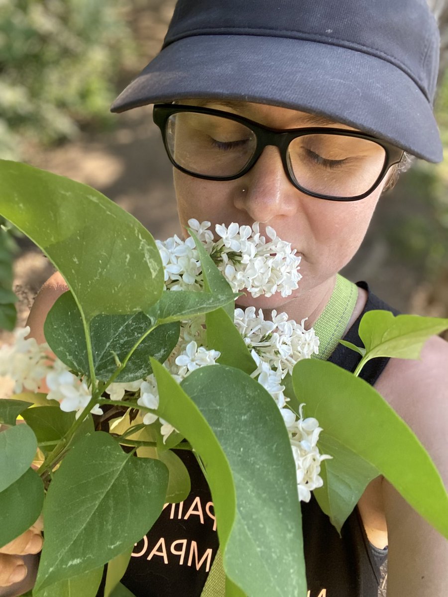 Can you smell this photo? If you can’t, just know it’s divine and my absolute favourite flower smell 💜