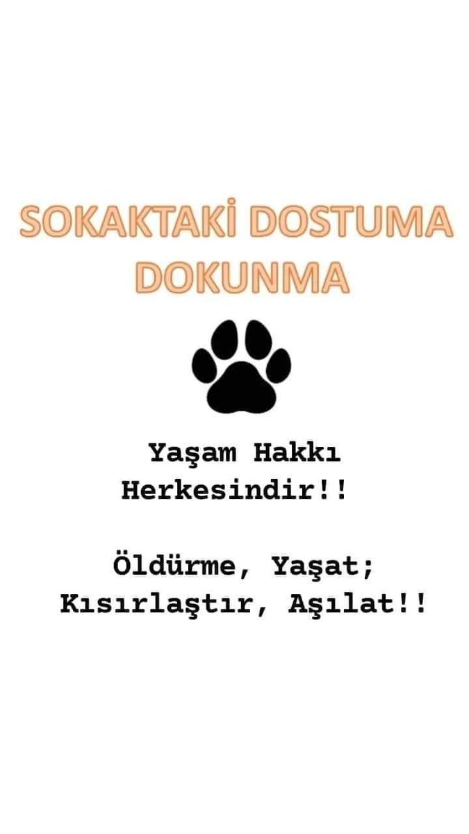 'Yaşam hakkı herkesindir' #KısırlaştırAşılaYaşat #SokaktayımYanındayım