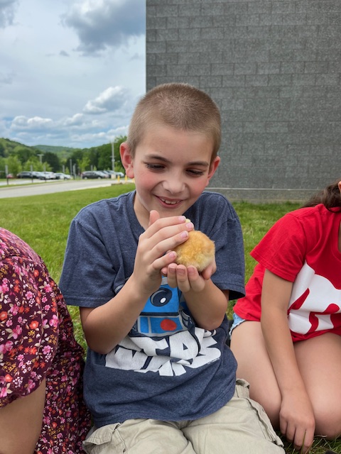 The students of Mrs. Ord and Mrs. Skoff went on an 'EGG'-citing adventure! Throughout May, they learned about the life cycle of a chicken and incubated 22 eggs. The eggs were donated to the class by Ms. Prengaman after she shared her wealth of knowledge about the work and