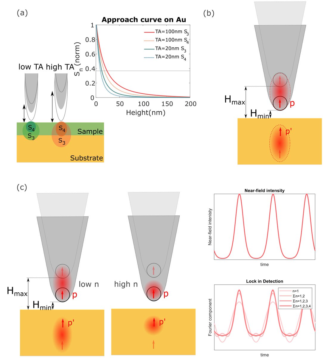 notadryetxinyun's tweet photo. #FridaySNOM Today we explain something more technical.
You probably have heard that s-SNOM is surface sensitive, do you know that we can even tune the surface sensitivity via changing tapping amplitude and demodulation order 😍 ?
#nearfield #sSNOM #microscopy #neaspec https://t.co/GCX0TYTe0F