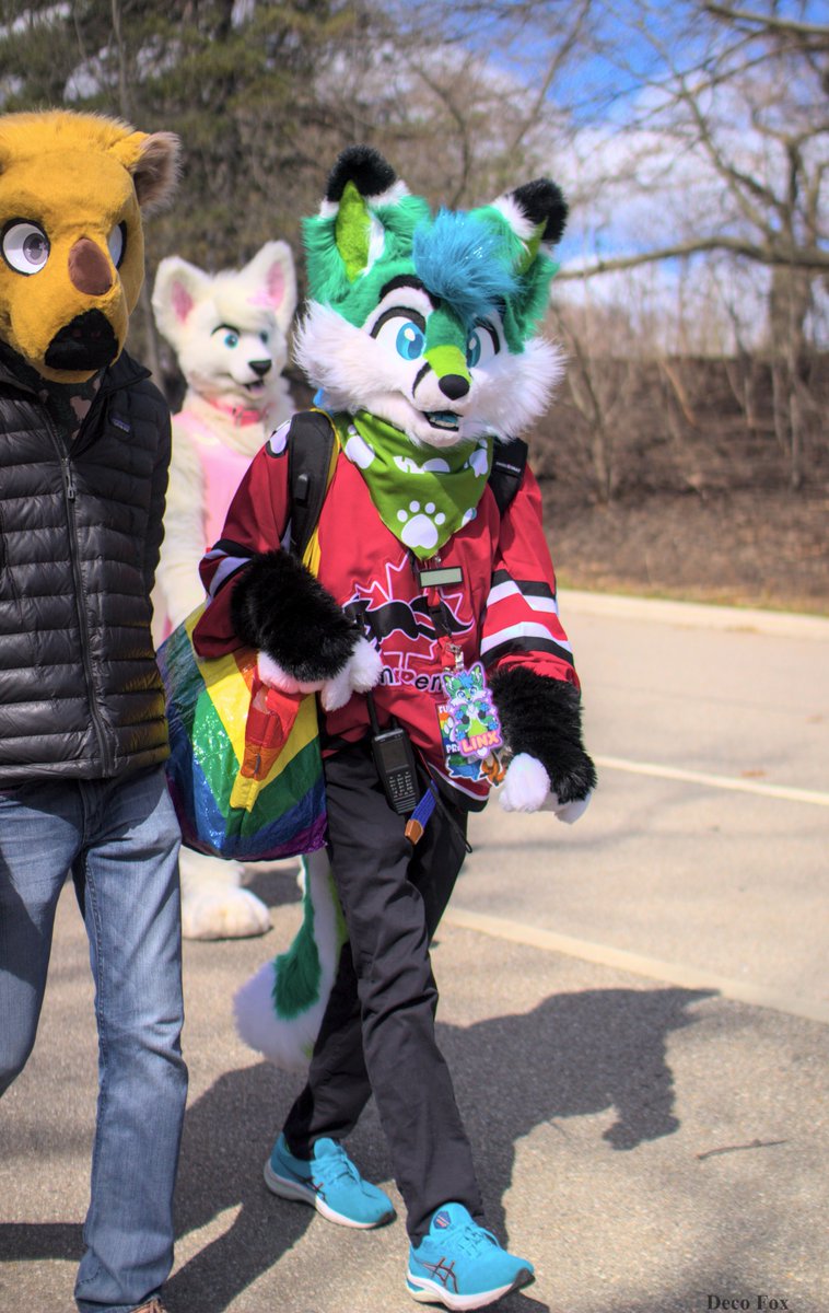 Who wants to go for walkies with this fox this weekend? Let's go somewhere fun! I am sure @Hydro_ott agrees! 📸@DecoFox2 #FursuitsFriday #FursuitFriday #fursuit