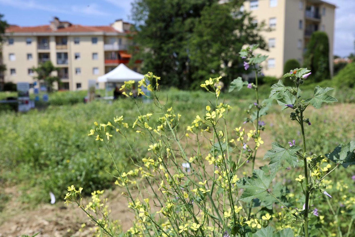 🌱🎓 Bienvenue sur notre plateforme d'apprentissage en agriculture urbaine !

Un projet phare à #Nice06, qui reflète notre engagement pour un urbanisme durable et la préservation de nos sols.

#ILoveNice