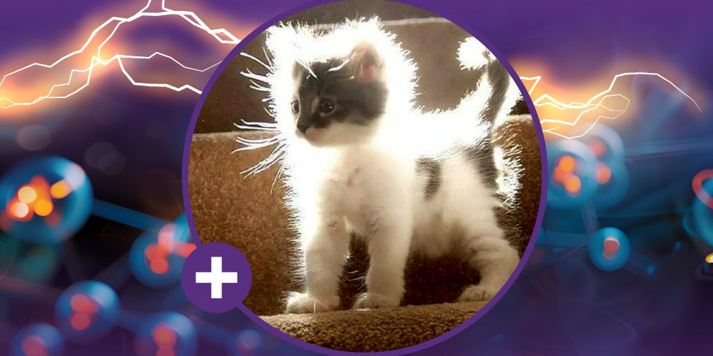 Caption this better… “Pawsitively charged cat-ion.” . . . #TGIF #humor #STEM ⚛️