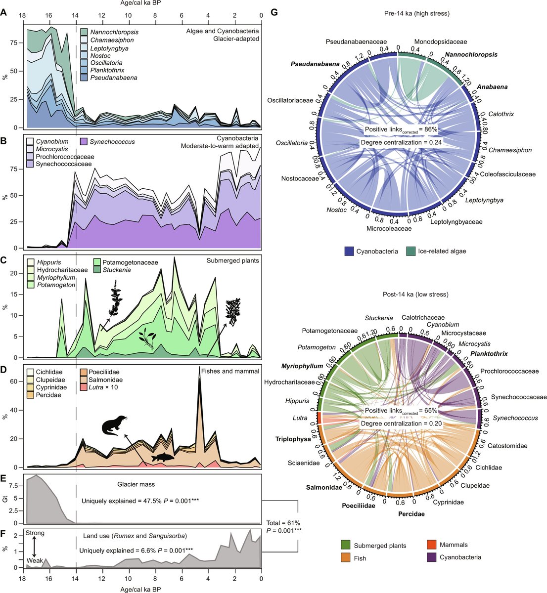 The tangible loss of glaciers and permafrost 14,000 years ago transformed the Tibetan Plateau into a woodland meadow with plants as keystone species, according to new analyses. scim.ag/74C